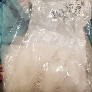 Detailed cathedral length veil